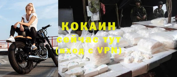 трава Наволоки