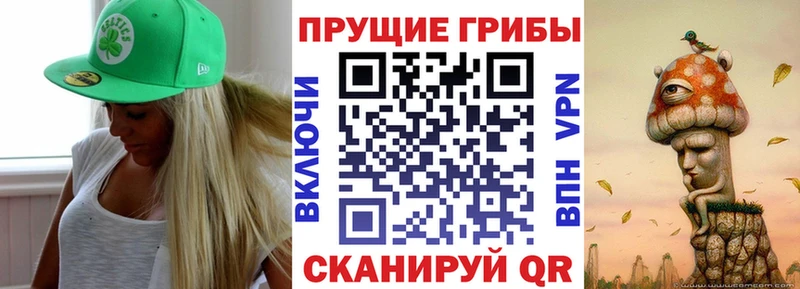Псилоцибиновые грибы Psilocybe маркетплейс Telegram Арзамас наркота OMG как зайти