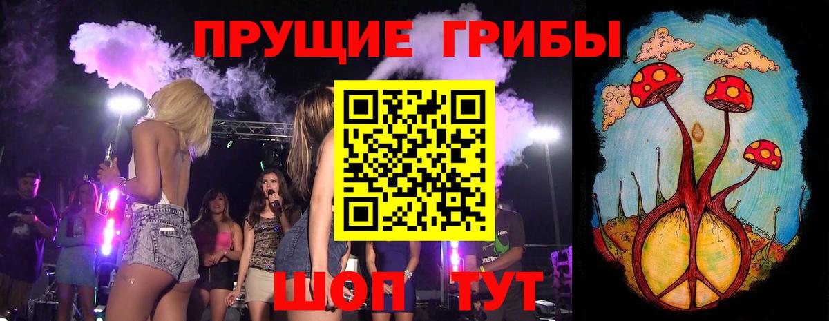 Псилоцибиновые грибы Psilocybe  Вход с VPN  Арзамас 